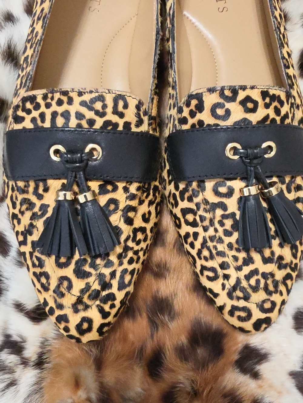 Brand New Talbots Francesca Leopard-Print Flats. - Picture 2 of 4